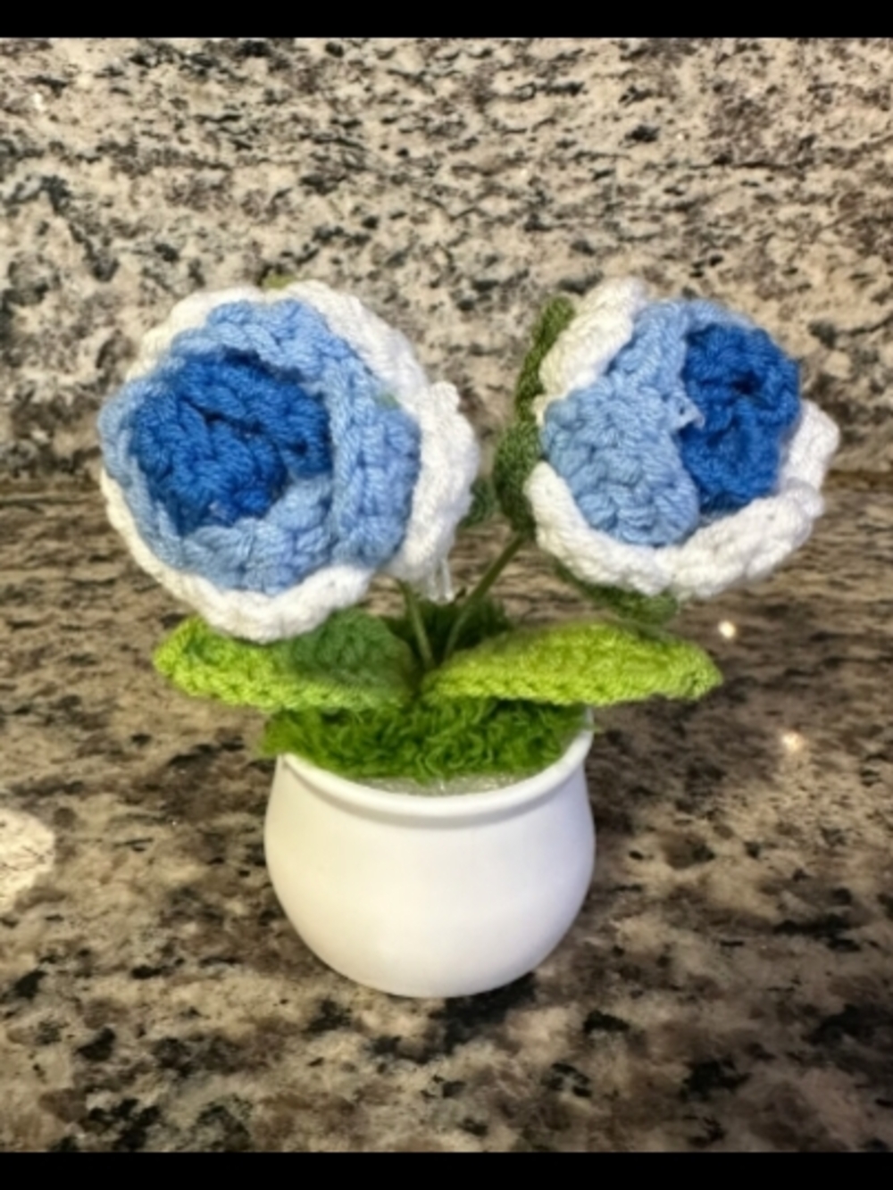 Handmade Blue Crochet Flower Pot - Home Accents
